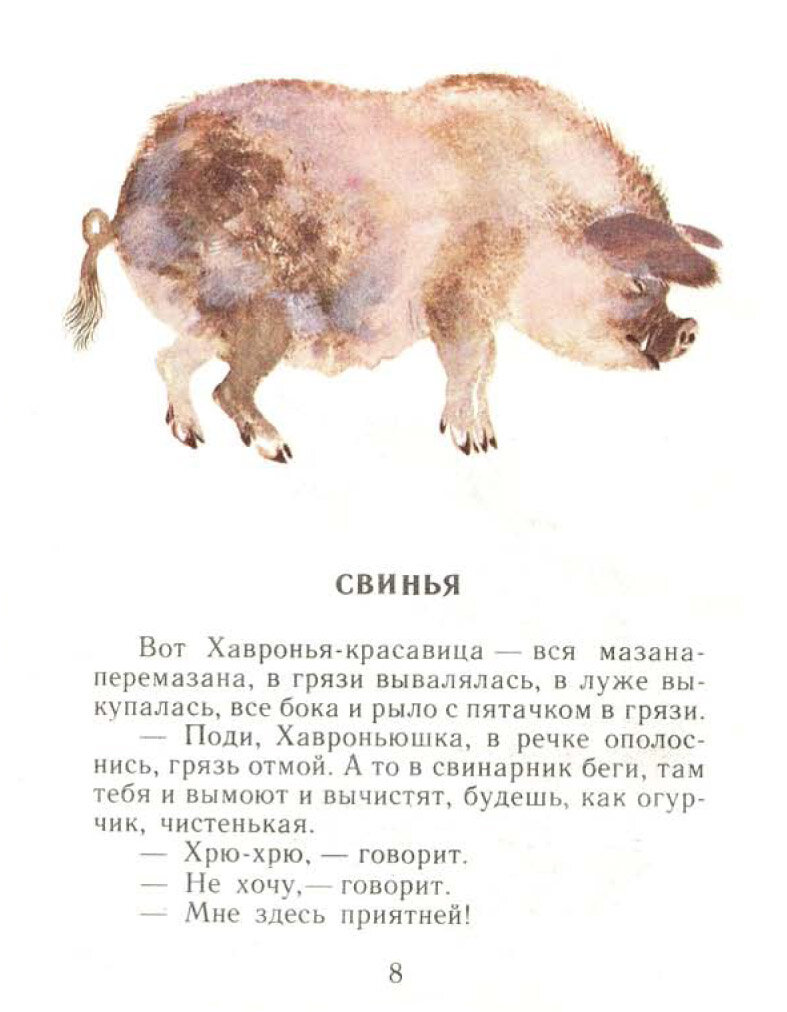 5 цитат Евгения Чарушина о животных, детях и творчестве