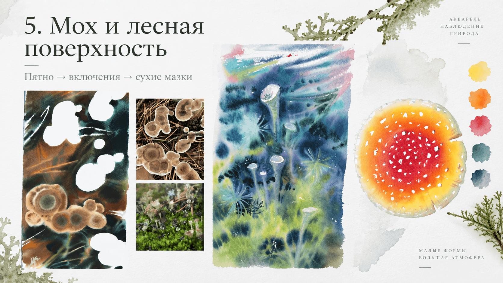 Читать больше о «Как рисовать грибы акварелью и передать живую фактуру» в блоге Lectoroom Иллюстрация к статье «Как рисовать грибы акварелью и передать живую фактуру»