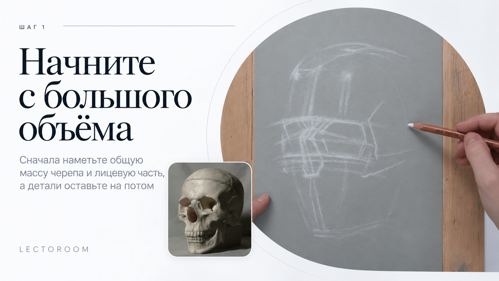 Читать больше о «Как рисовать череп?» в блоге Lectoroom Иллюстрация к статье «Как рисовать череп?»