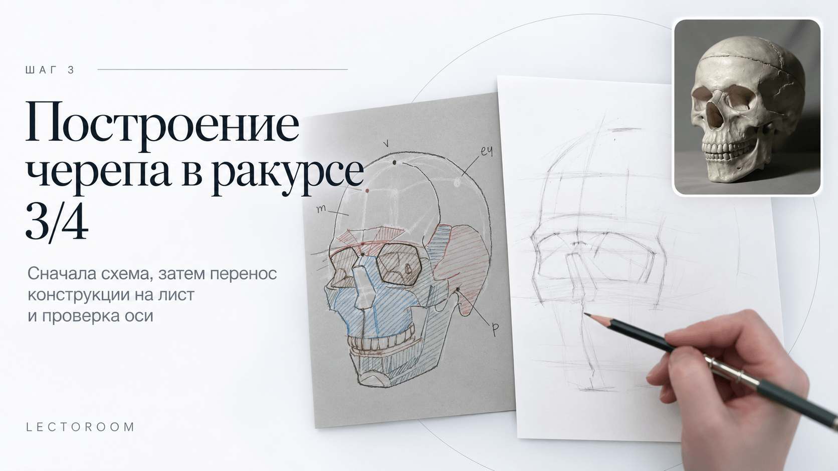 Читать больше о «Как рисовать череп?» в блоге Lectoroom Иллюстрация к статье «Как рисовать череп?»