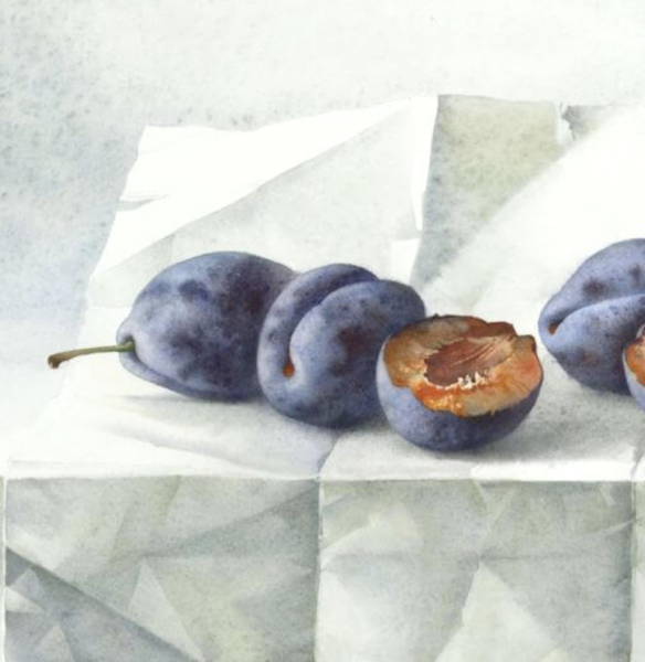 Plums on watercolor paper
