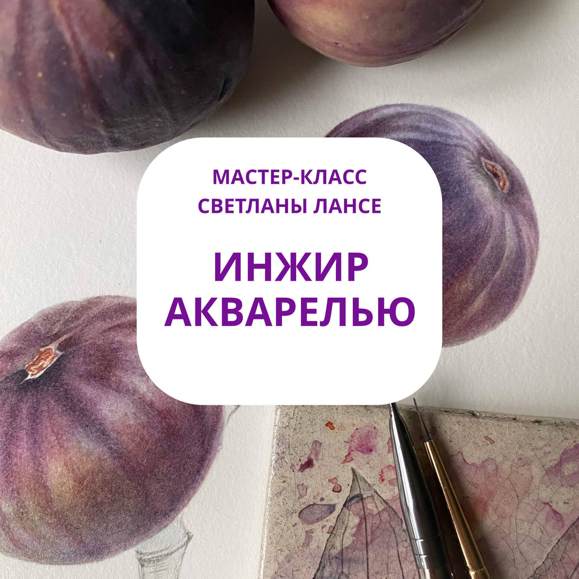 Инжир акварелью