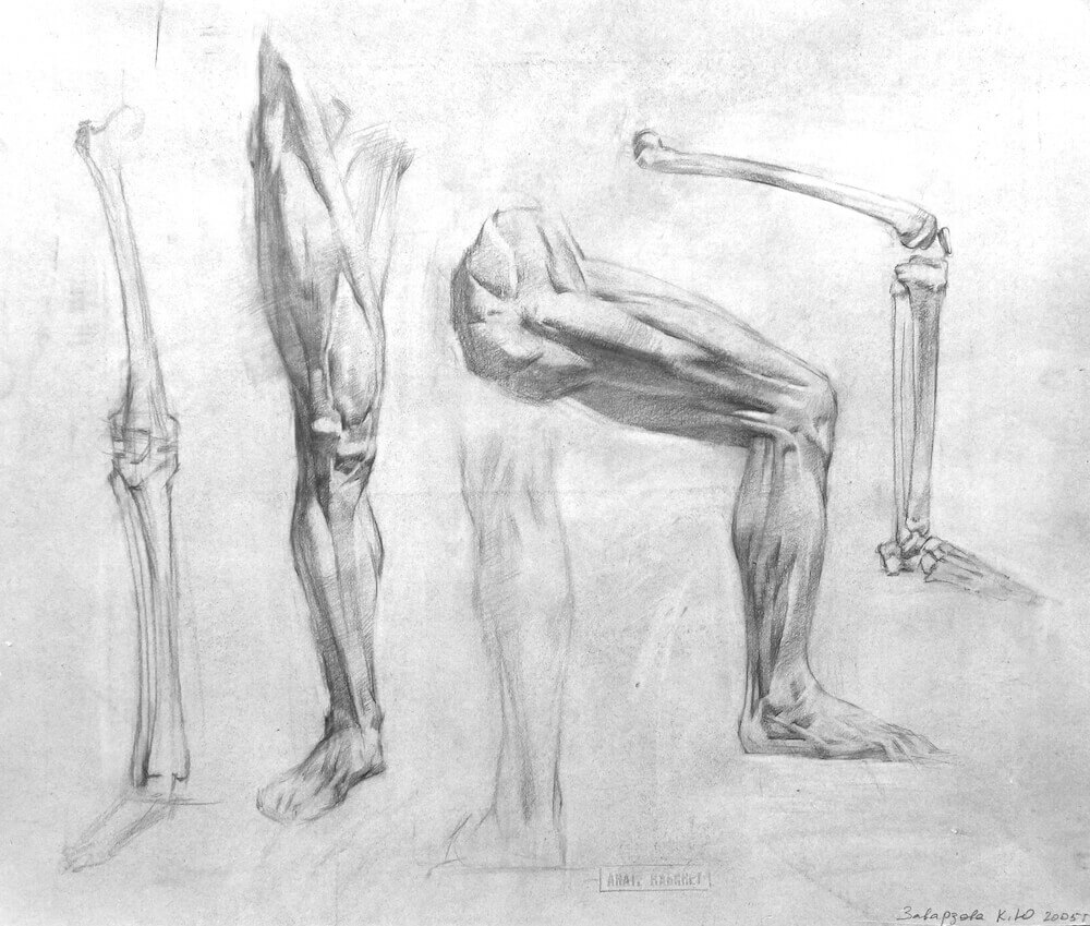 6. Рисунок костей и экорше ног в одном и том же положении согнутая и прямая нога