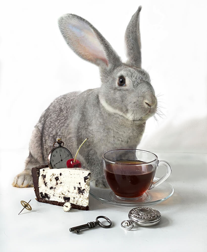 Безумное чаепитие с кроликом